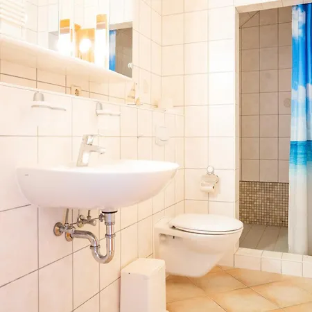 Windflüchter - Bucht * Prerow